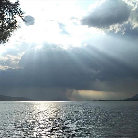 Solis Adriaticum Apartments Jasenice  Buitenkant foto